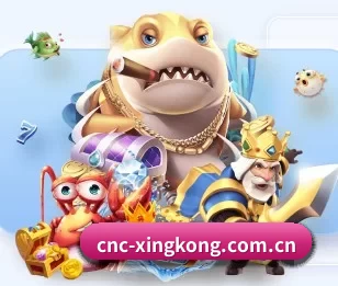 足球篮球电竞赛程一站查看 | xingkong